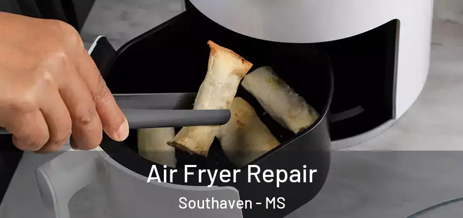 Air Fryer Repair Southaven - MS