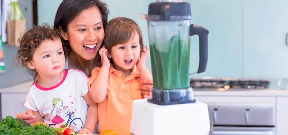 Juicer and Mixer Blender Repair in Southaven 