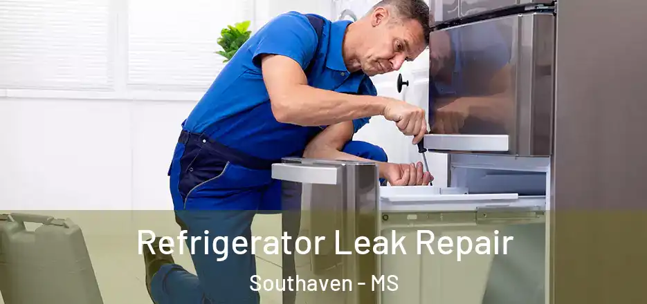  Refrigerator Leak Repair Southaven - MS